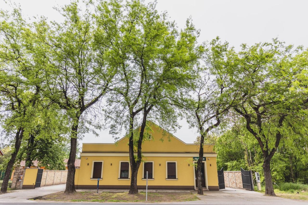 Vila Guliver Palić エクステリア 写真